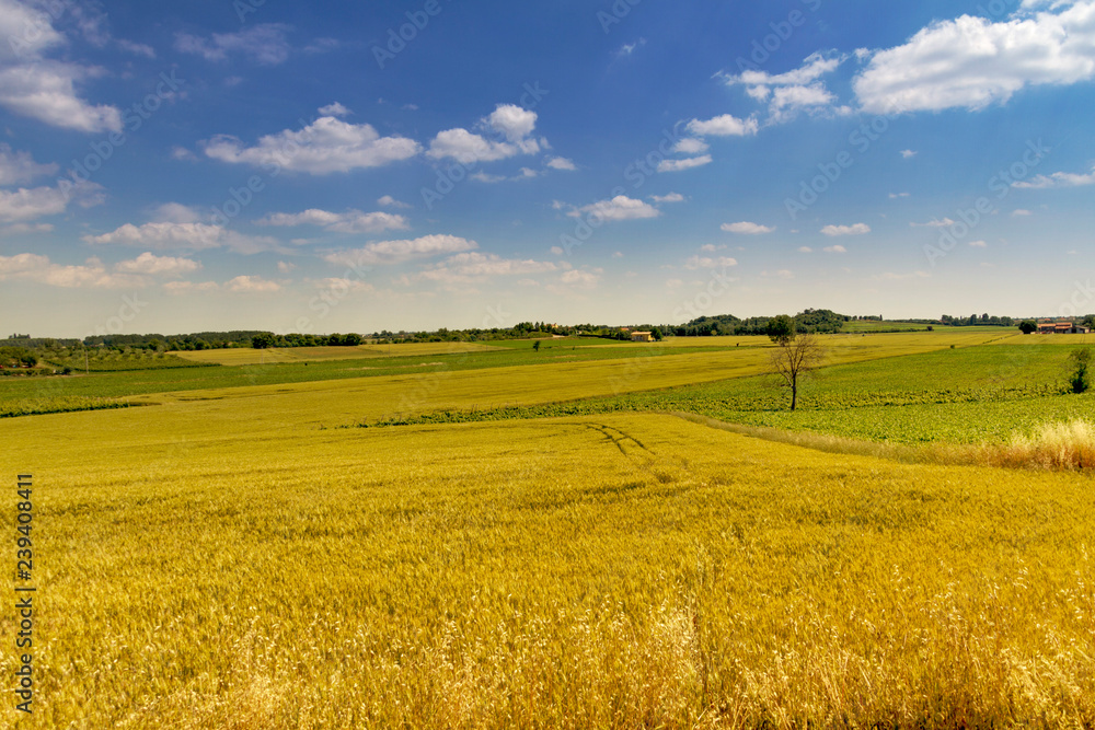 Panorami dei Colli Euganei, Veneto Panorami dei Colli Euganei, Veneto