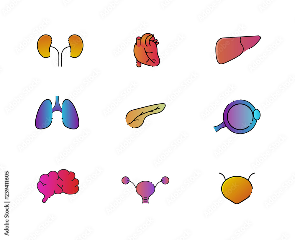 Vibrant human organ icons with black outline