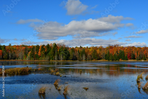 marais, lac, eau, automnal, paysage, nature, fleuve, arbre, ciel, forêt, chute, bleu, arbre, étang, nuage, jaune, parc, vert, beau, beauté, coloré, extérieur, saison