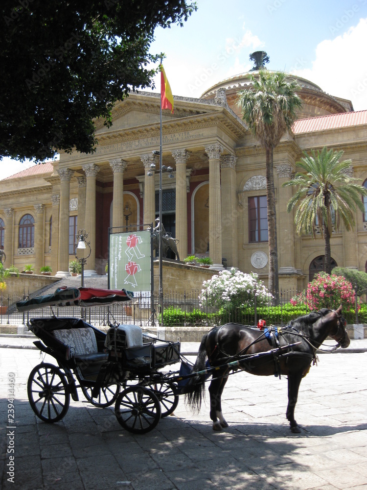 Fototapeta premium Italia , Palermo , Stadt , Pferd, Horse , Kutsche , Sicilia
