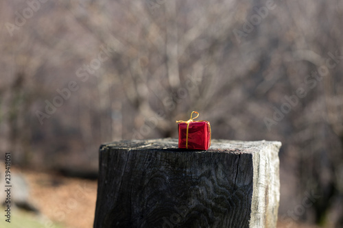 Christmas and New Year concept. Small gift at nature during sunlight. Empty space. No snow photo