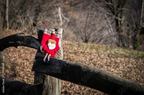 Christmas and New Year concept. Small gift at nature during sunlight. Empty space. No snow photo