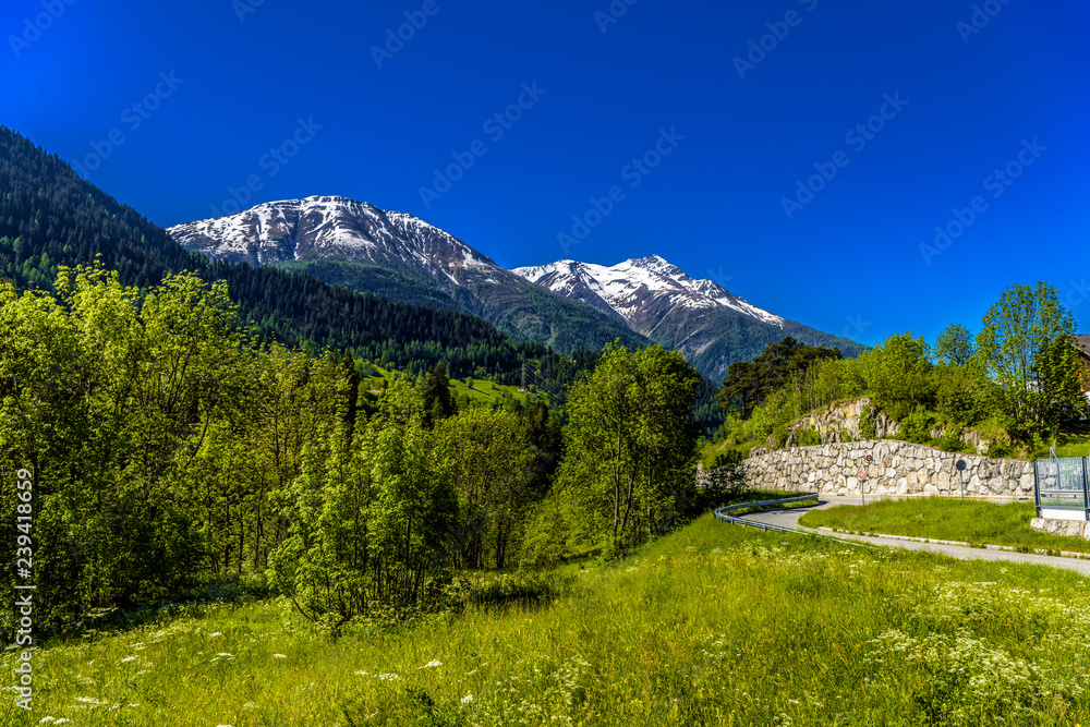 Alp mountains with forest and fields, Fiesch, Goms, Wallis, Vala