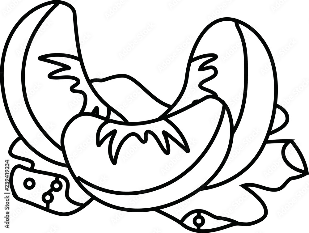 Fototapeta premium Japanese Mandarin orange outline