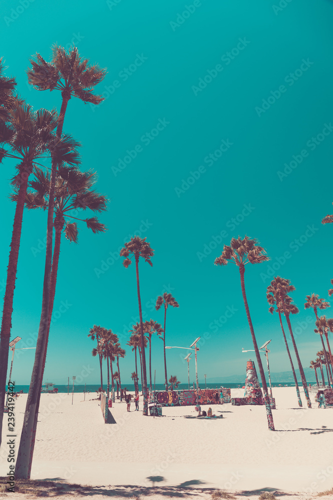 Fototapeta premium Tripikalna plaża z palmami. Koncepcja wakacji i wakacji. Krajobraz Kalifornii