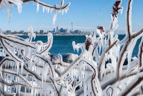 Canvas Print Tree branches covered with ice and Toronto skyline on a background on a cold winter day