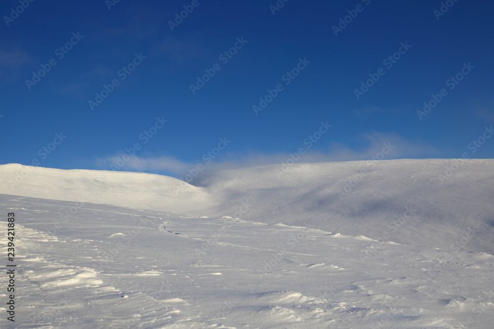Winter arctic landscape