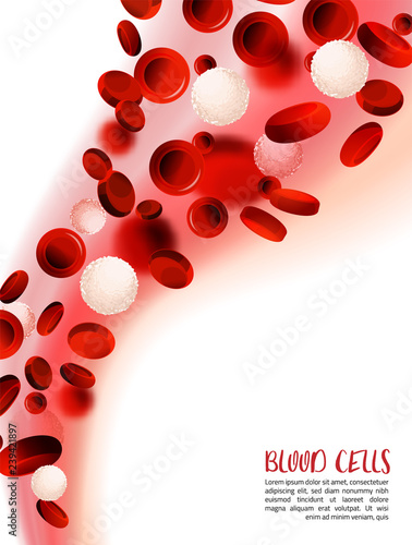 Blood Cells Background