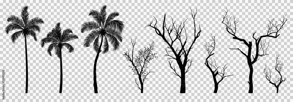 Fototapeta premium Silhouette of dried tree and palm tree isolated, vector illustration eps10