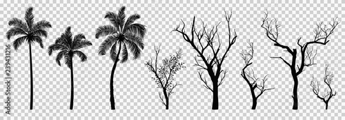 Silhouette of dried tree and palm tree isolated, vector illustration eps10