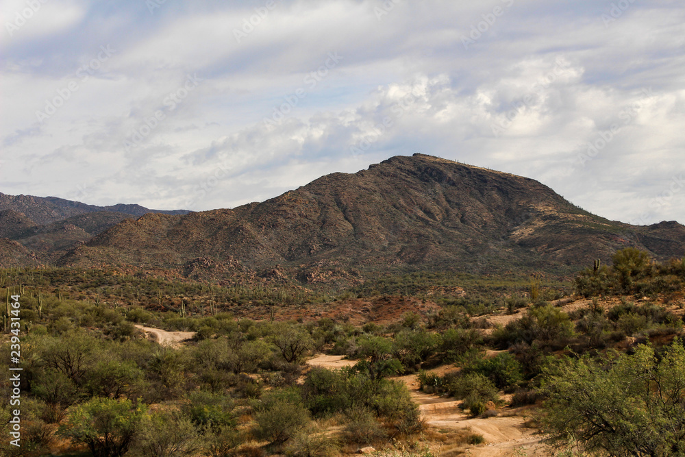 Wash and Mountain view in the Tonto National Forest Wash and Mountain view in the Tonto National Forest