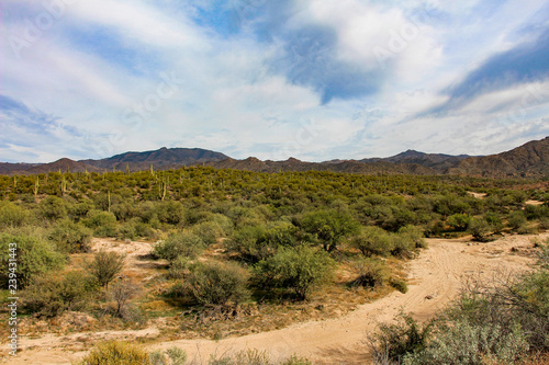 Tonto National Forest outlook near Fountain Hills Arizona