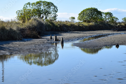 The remnants of wooden posts in the beach lagoon at Gisborne, New Zealand. photo