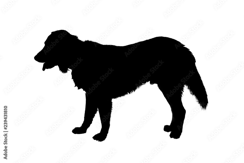 Dog silhouette black on white background