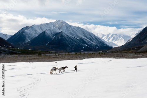 Chersky Ridge. The lone traveler is walking along the ice. Republic of Yakutia, Russia. 2012 photo