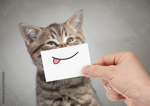 funny cat smiling with tongue
