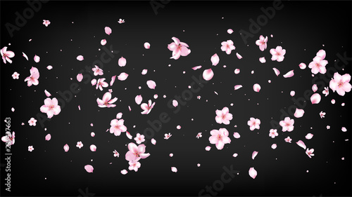 Nice Sakura Blossom Isolated Vector. Magic Flying 3d Petals Wedding Texture. Japanese Gradient Flowers Illustration. Valentine, Mother's Day Spring Nice Sakura Blossom Isolated on Black