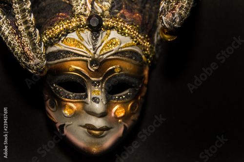 masks and feathers of venice carnival on black background © Gabriela Bertolini