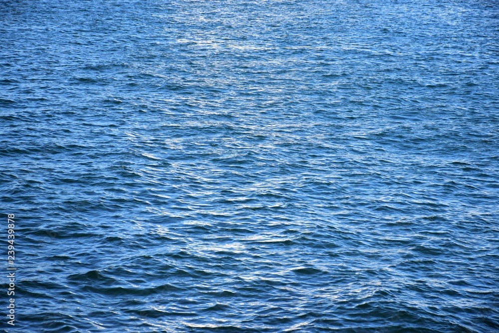 水面 水面