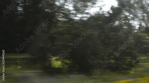 Green landscape views through a train window