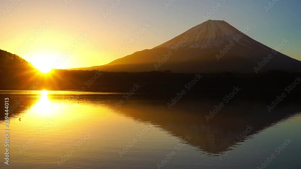 未明の精進湖より富士山 未明の精進湖より富士山