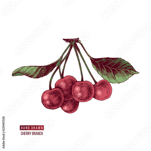 Hand drawn cherries