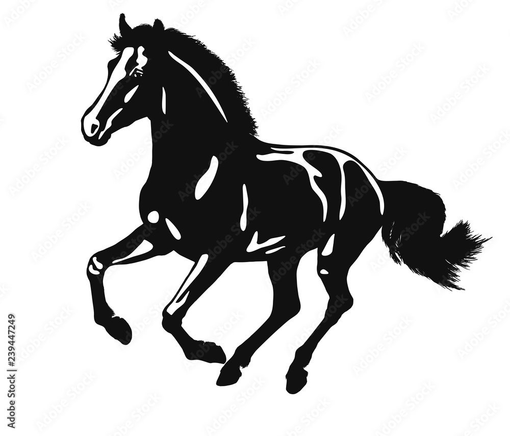 Vector logo of a running horse Vector logo of a running horse