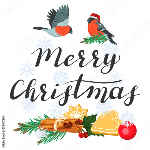 Merry Christmas. Lettering with bullfinches and fir branches