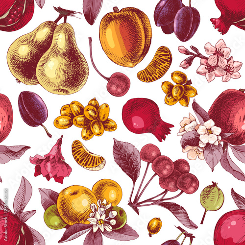 Seamless pattern with hand drawn colorful fruits