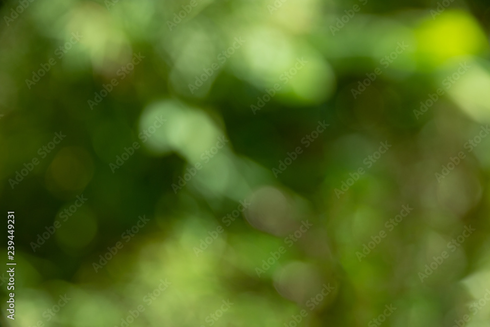 Defocused abstract green bokeh background,soft background Defocused abstract green bokeh background,soft background