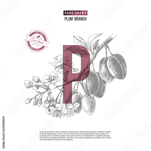 Abstract background with hand drawn plum branch