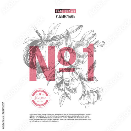 Number one background with hand drawn pomegranate branch