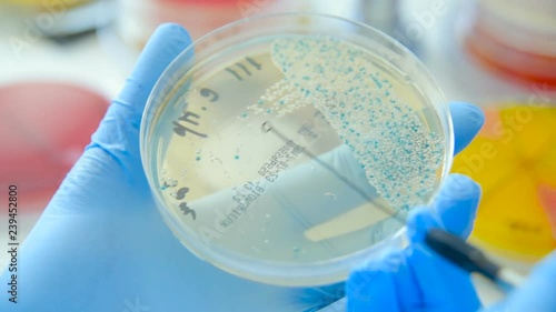 A scientist in a medical laboratory with a dispenser in his hands is doing an analysis