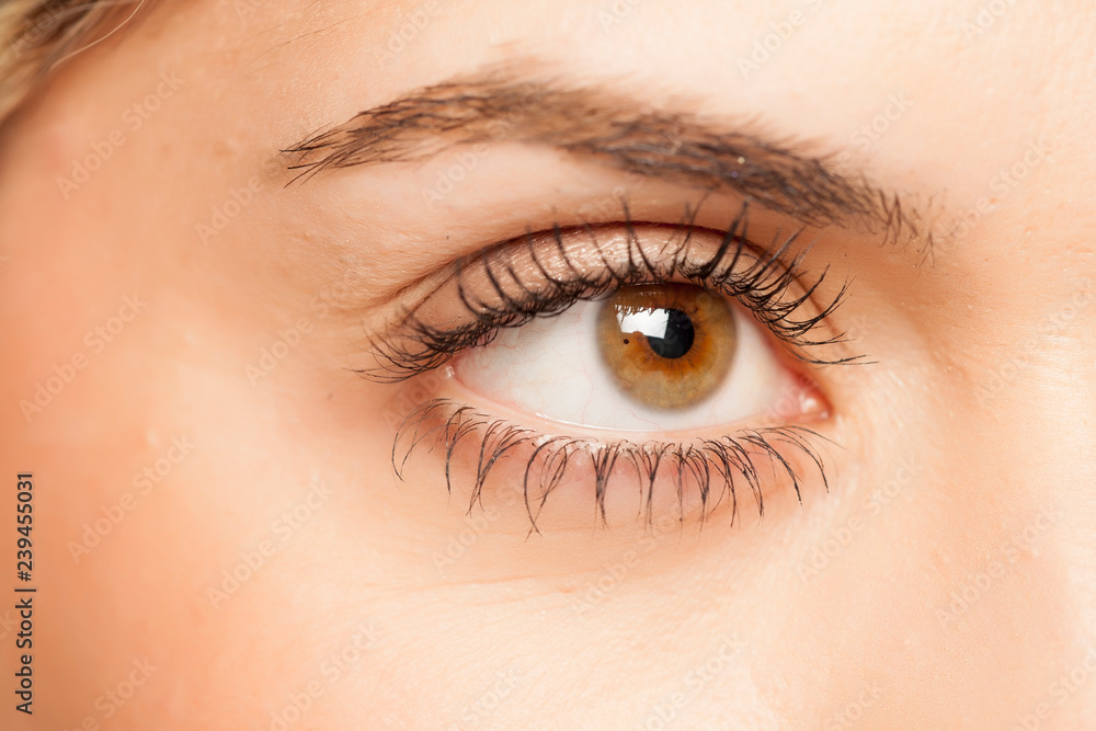 closeup of female eye
