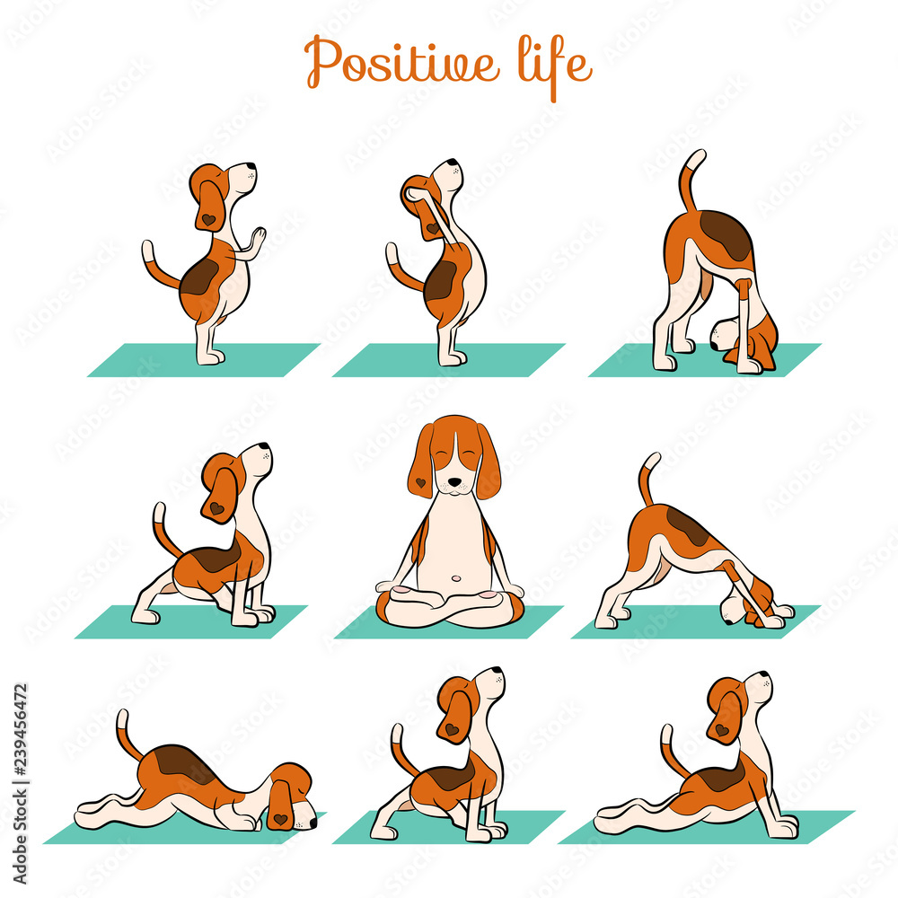 cartoon funny dog doing yoga position of Surya Namaskara Stock Vector