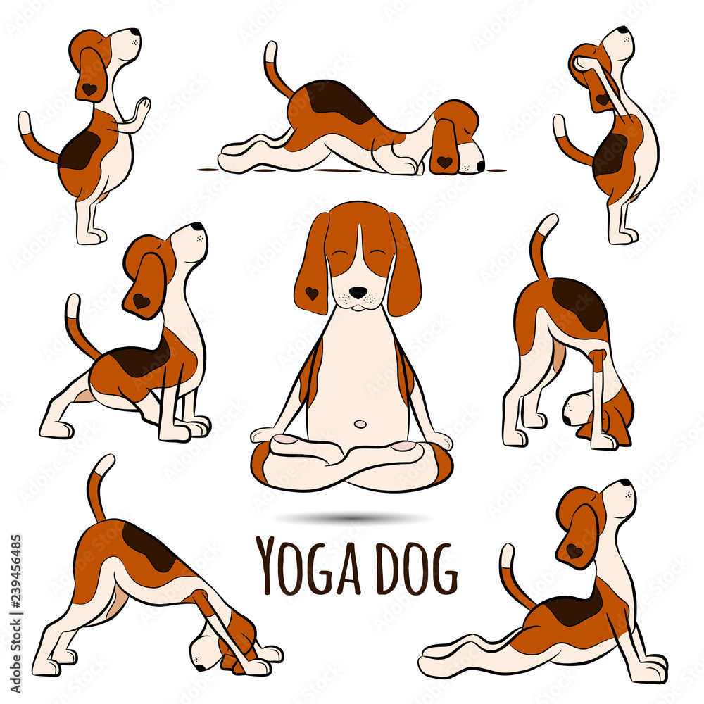 cartoon funny dog doing yoga position of Surya Namaskara Stock Vector |  Adobe Stock