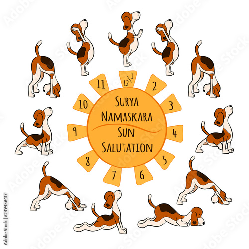 cartoon funny dog doing yoga position of Surya Namaskara