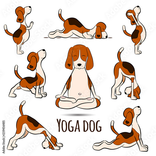 cartoon funny dog doing yoga position of Surya Namaskara photo