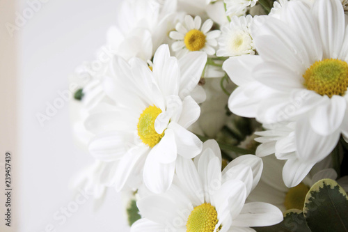 close-up of large decorative daisies in bouquet