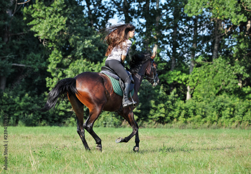 Beautiful equestrian girl ride horseback in meadow at sunset Beautiful equestrian girl ride horseback in meadow at sunset