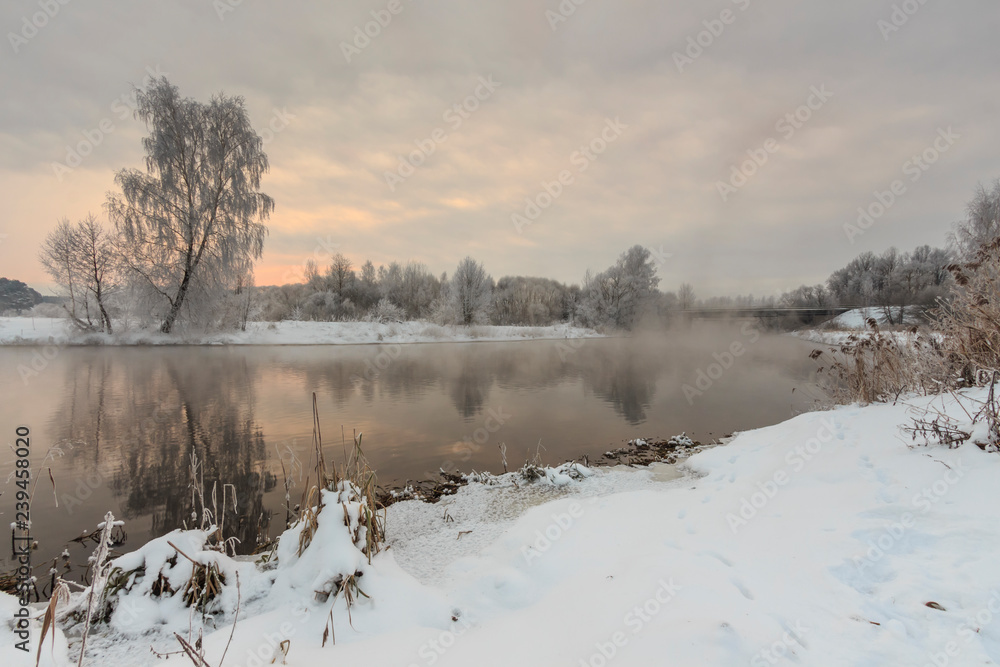 trees and grass in the frost by the river in winter