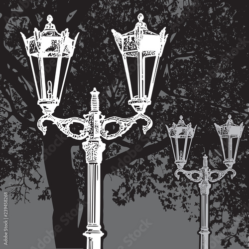Vintage street lamp and tree silhouette - white vector image isolated on black background. Realistic detailed graphic illustration of lamppost in retro style, night view.