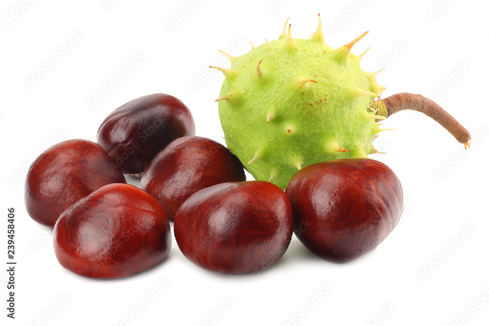 chestnuts isolated on white background. Healthy background. chestnuts isolated on white background. Healthy background.