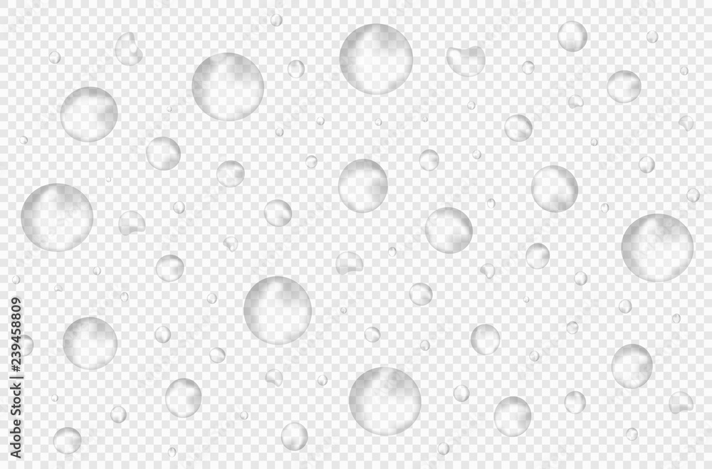 Vector realistic water drops on transparent background without shadows. Bubbles, rain, water, foam, oxygen or spray. Different shapes and sizes. 3D, close-up.