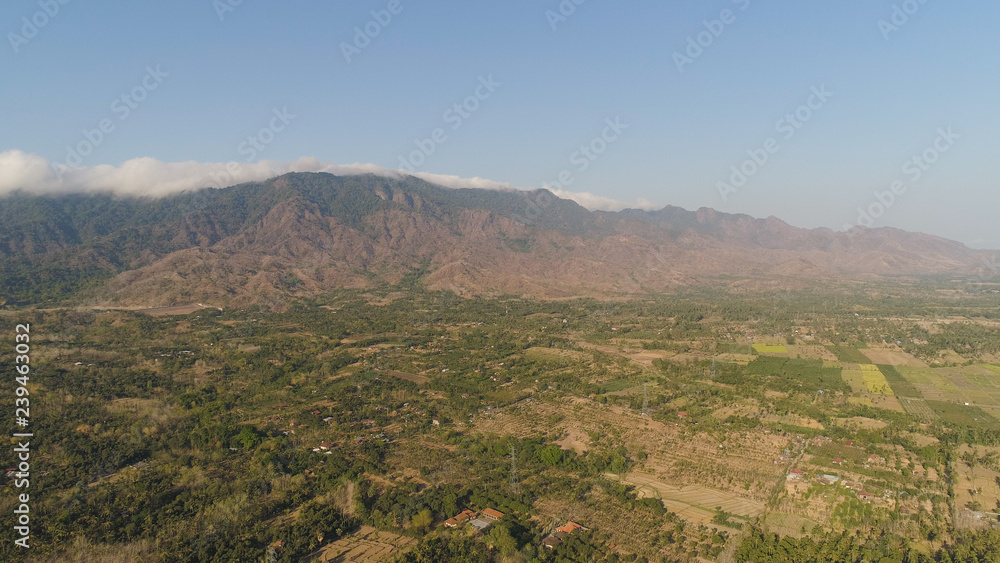 aerial view agricultural farmland with sown green,corn, tobacco field against mountains. agricultural crops in rural area Java Indonesia. Land with grown plants of paddy