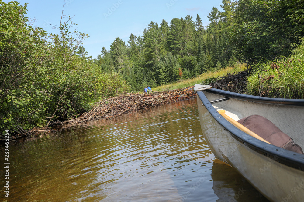 Obraz premium boat on the river
