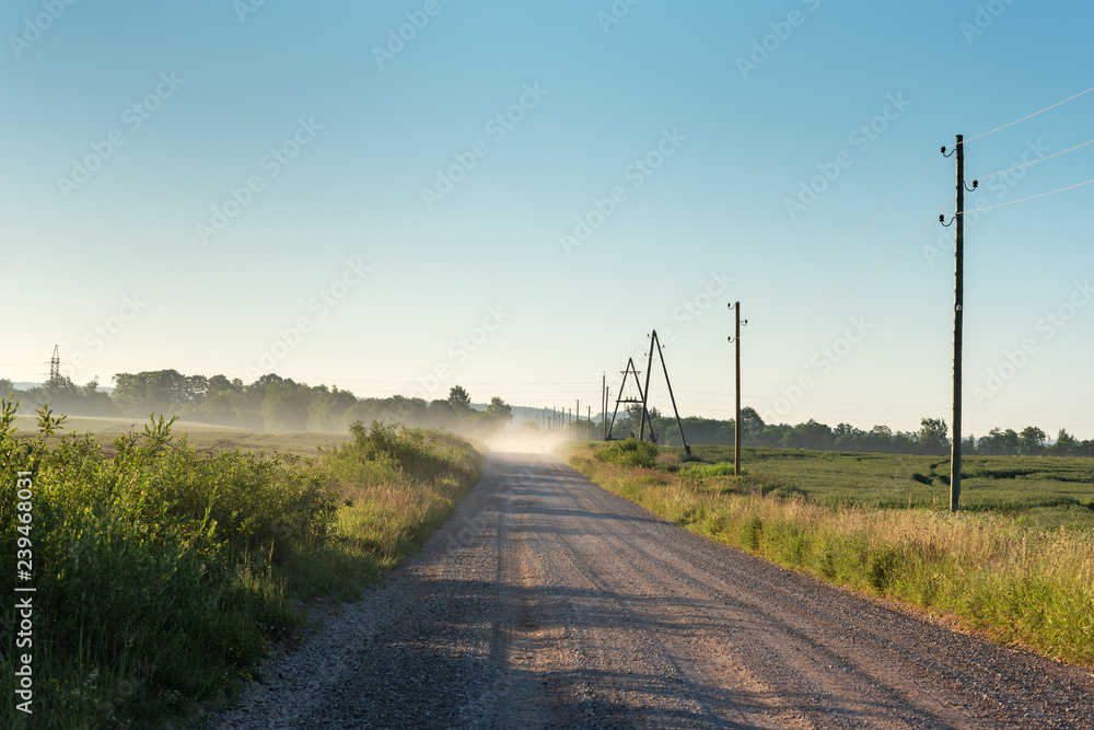Straight gravel rural road.