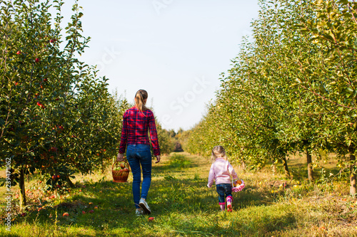 Mother and daughter walking in the apple orchard
