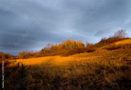 Jesienny krajobrazy pól i zadrzewień w świetle zachodzącego słońca © JDziedzic