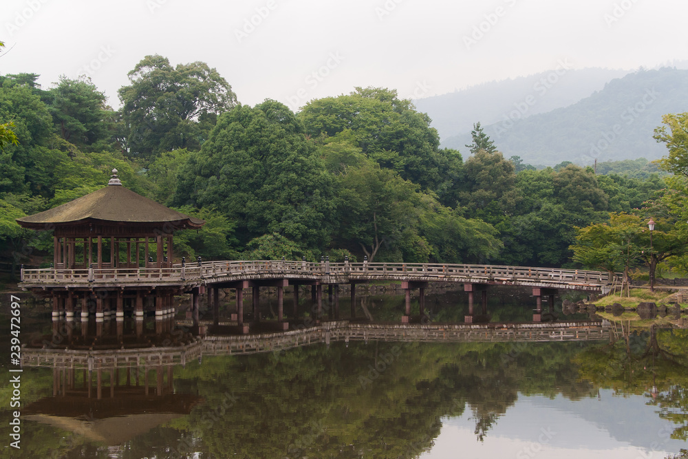 Reflection of Pagoda in Nara, Japan